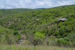 The Hidden Oribi Bush Camp