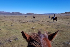 Exploring Lesotho Landscape