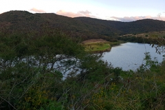 Watervale Dam