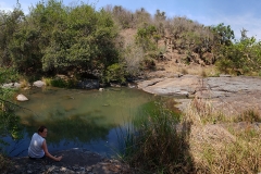 Froggy Pools Trail