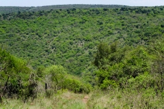 Nhlamvini Game Reserve