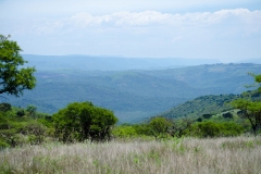 Nhlamvini Game Reserve