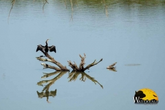 Hippo Dam Sundowners