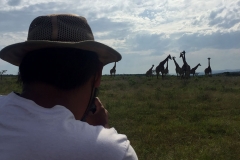 Game Viewing