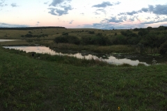 Hippo Dam Fishing